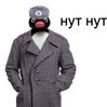 Comrade Pingu