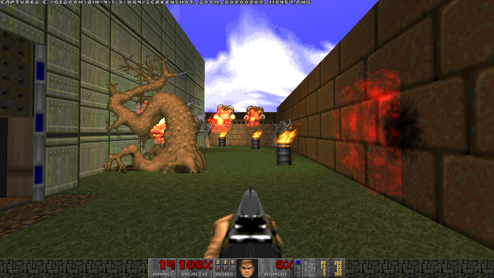 Screenshot_Doom_20200208_112459.png.baa677e8291d3acc5afe7b098ba6eaea.png