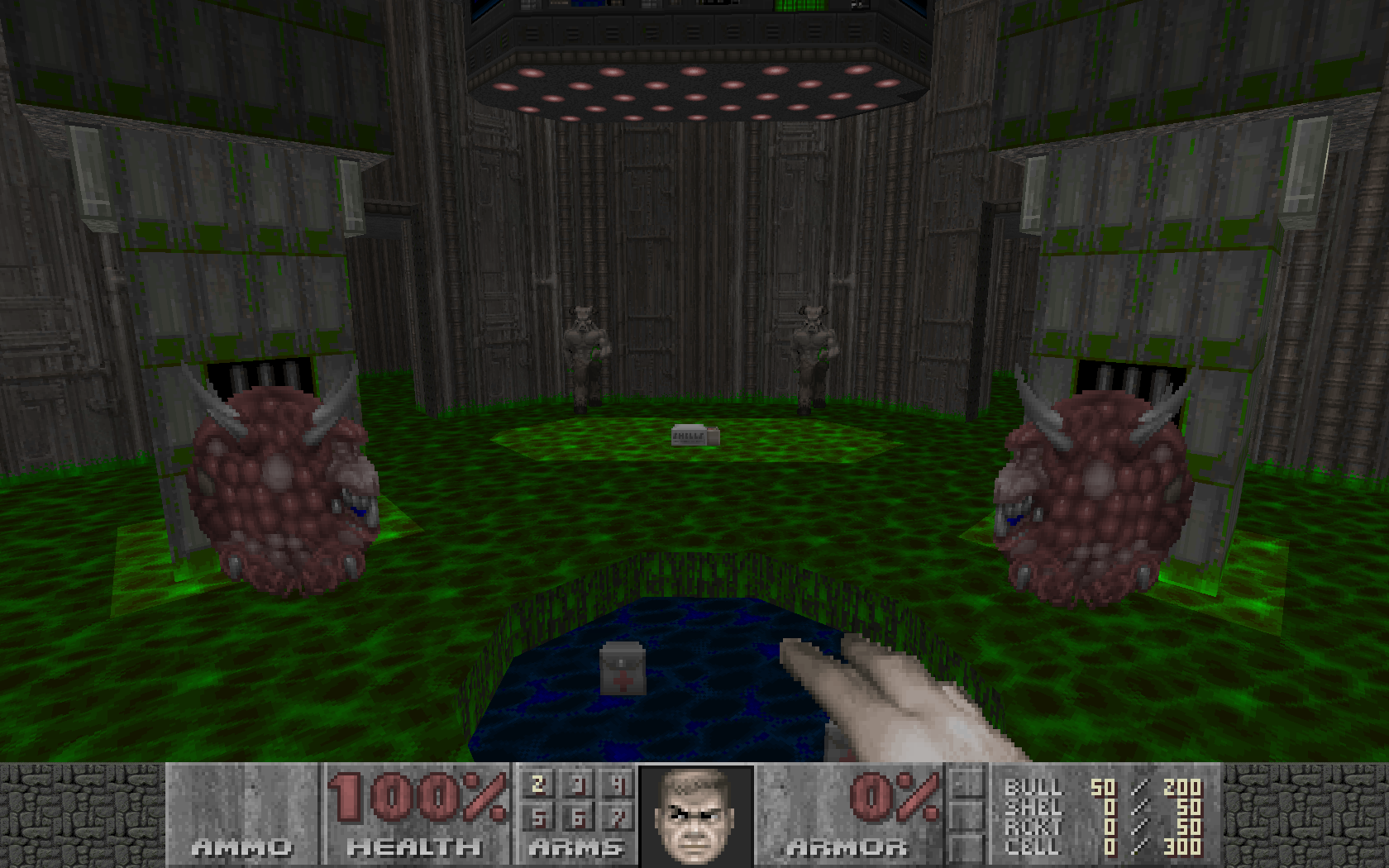 Screenshot_Doom_20200328_200346.png.9fa70a3a20cac6523f9059966933ffd2.png