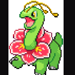 meganium_menagerie