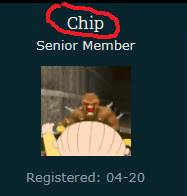 CHIP.png.432c2dc24d0ce4d26940a9d43c0b4ce4.png