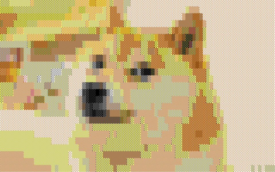 ENDDOGE.png.fbf55208a6e8fbabf9b2a18b7fa2279d.png