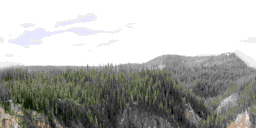 Woods_Sky_01.png.72629972fd815e4023cf90e8780e804c.png