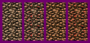 small skullwalls.png