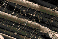 SINEW1.png.ad5cfaf37f61bb449496af43dceb1834.png