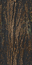 TREEBRK2.png.d03658b5f6024a729e02499a181a0cea.png