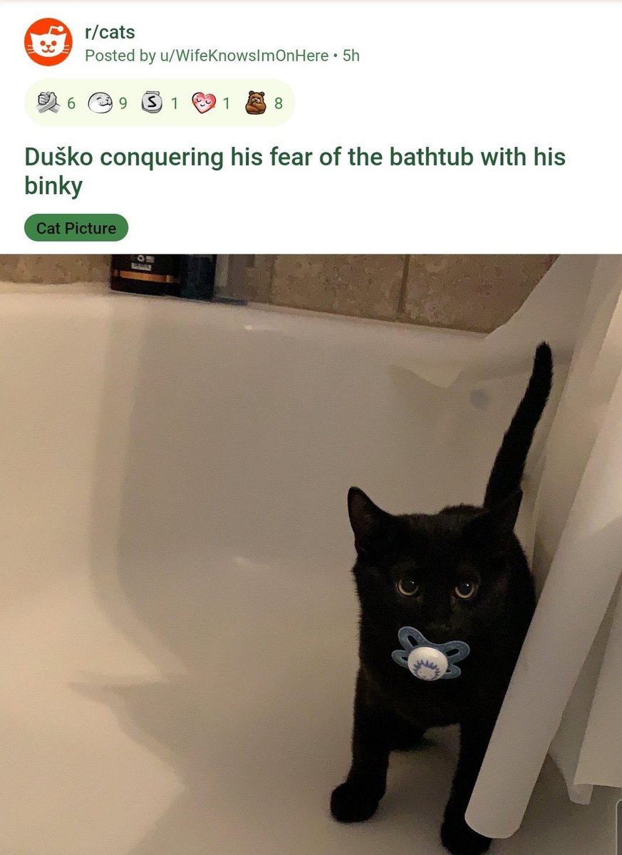 A black cat with a pacifier in its mouth stands in a bathtub. Reddit post title: "Duško conquering his fear of the bathtub with his binky"