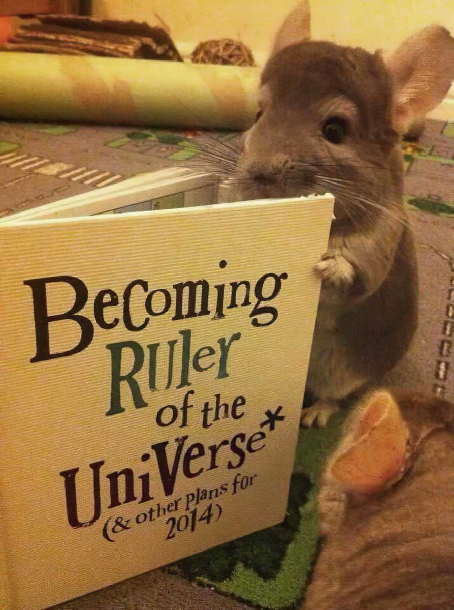 A chinchilla "reads" a book titled BECOMING RULER OF THE UNIVERSE (& OTHER PLANS FOR 2014)