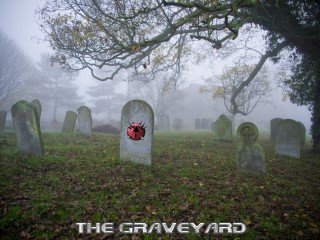 graveyard.jpg.f3a1da297fa81572484407d0e9d129a7.jpg