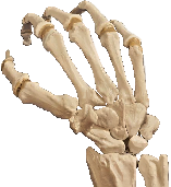 handdemo.png.45df2aa0a2ecc3fe0fc6c91c04a06b9a.png