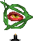 green_eye.png.ed8d24c89c6a004129b0e65b7d9b7e32.png