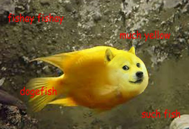 4sparkleblast_dogefish.png.6d0ec70543adb6f8e85be395394eea26.png